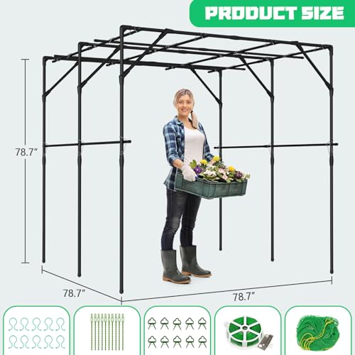 79" H x 79" L Garden Arch Trellis (79" L x 79" W x 79" H)