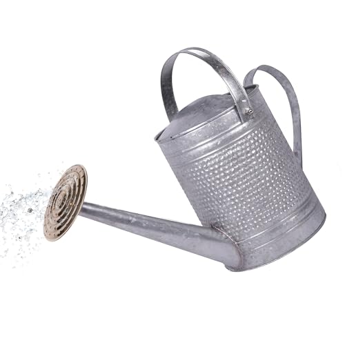 MPT01191 Jameson Metal Watering Can (1 gallon / Galvanized)