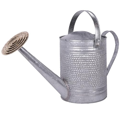 MPT01191 Jameson Metal Watering Can (1 gallon / Galvanized)