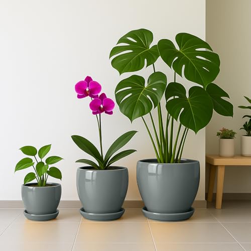8 Inch Plant Pots (Gray / 8 Inch)