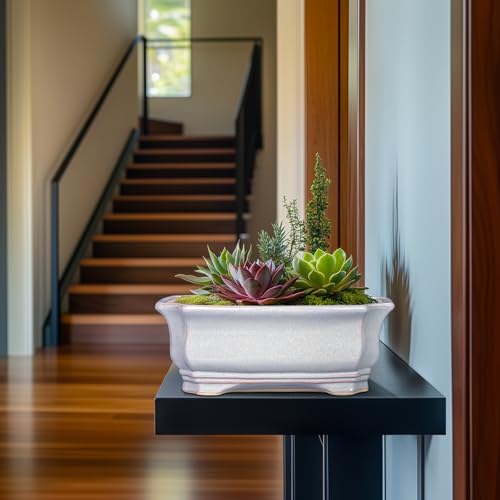 Bonsai Pots Ceramic (13.5 Inch / Rectangular Grey)