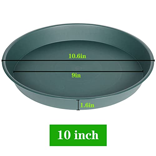 2 Pack of 10 inch Plant Saucer Gray (10" (2 pack) / Green)