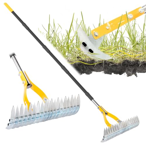 Thatch Rake for Lawn with 74inch Handle
