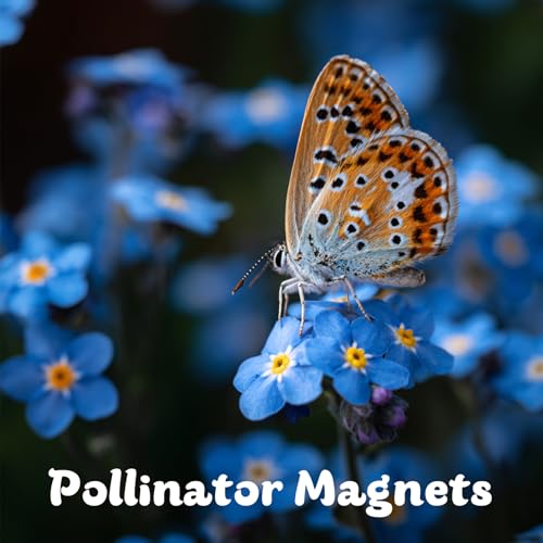 Forget Me Not Seeds 5500 Flower Seeds Forget
