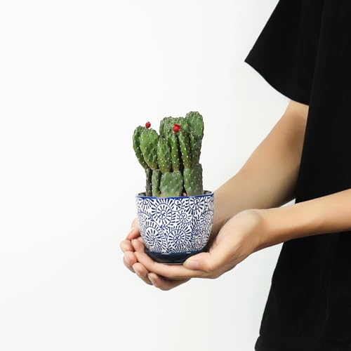 Ceramic Succulent Pots (Vintage Blue / 3.5 Inch, Set of 6)