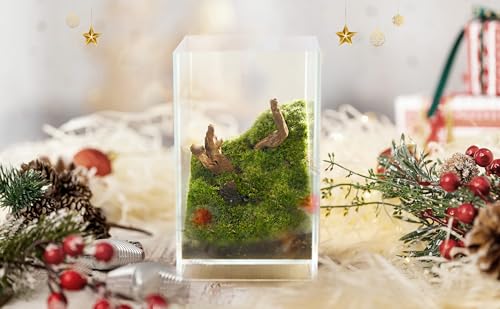 27 PCS Glass Plant Terrarium Kit with LED Grow Light (Tall Cube Set)