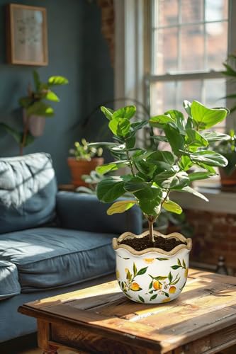 Rustic Farmhouse Ceramic Plant Pots (Yellow & White Lemon Patterns)