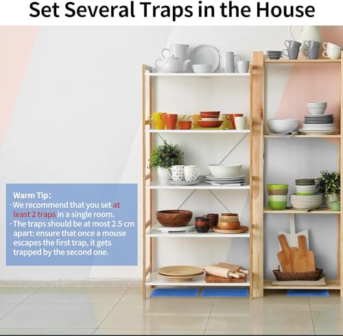 Mouse Glue Traps 18 Pack (18 Count)