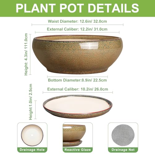Ceramic Bonsai Pots (12 Inch / Speckled-brown)