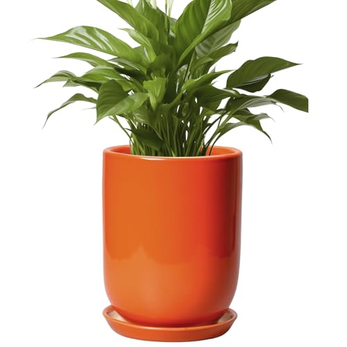 Ceramic Planter