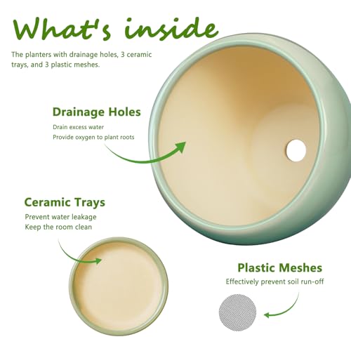 Ceramic Pots for Plants (3 Count)