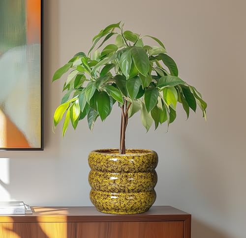 Ceramic Planter (8 Inch / Leopard Print Yellow)