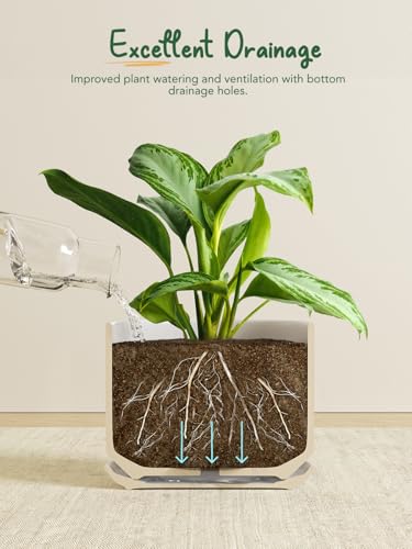 8 Inch Plant Pot (White / 8")