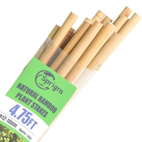 Bamboo Stakes 57 Inch (4.75FT,Pack of 25)