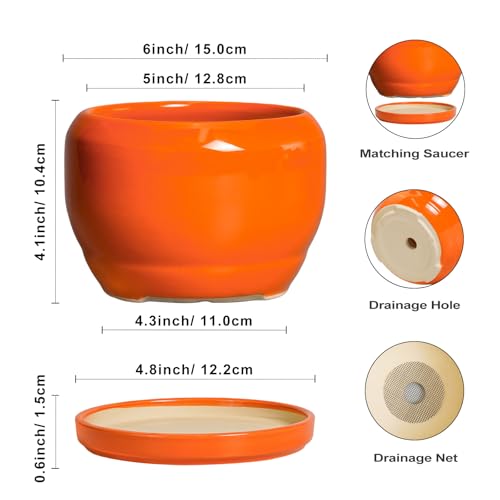 Ceramic Plants Pots