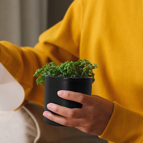 2 Pack Ceramic Pots with Saucers (2 Count)