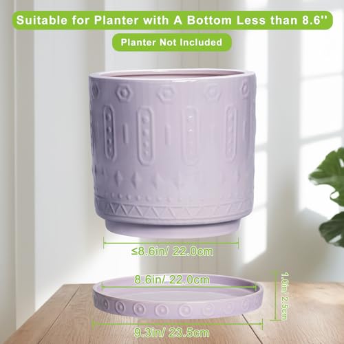 Plant Plates to Catch Water (9.3 Inch / Purple)