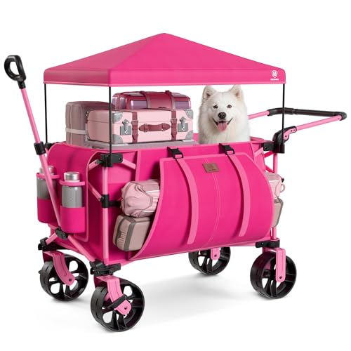 Folding Push Wagon with Canopy (Pink)