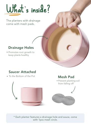Ceramic Pots for Plants (3 Count)