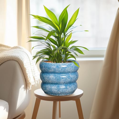 8 Inch Plant Pot with Drainage Hole (8 Inch / Blue Sapphire)