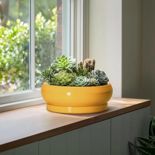 Ceramic Bonsai Pots (13 Inch / Bright Yellow)