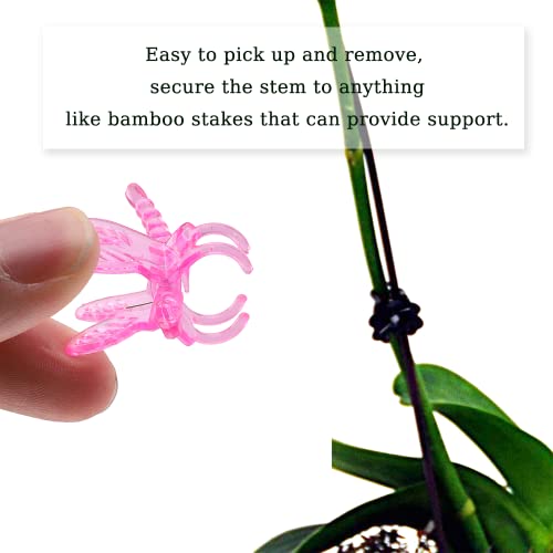 100Pcs Plant Orchid Support (Rose Red)