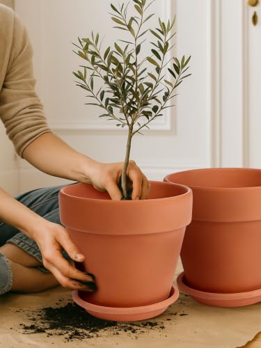 12 Inch Terracotta Pot Set of 2 with Saucer (12/12 inch -2 pcs)