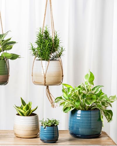 Ceramic Plant Pots with Drainage Holes and Saucers (3 Count)