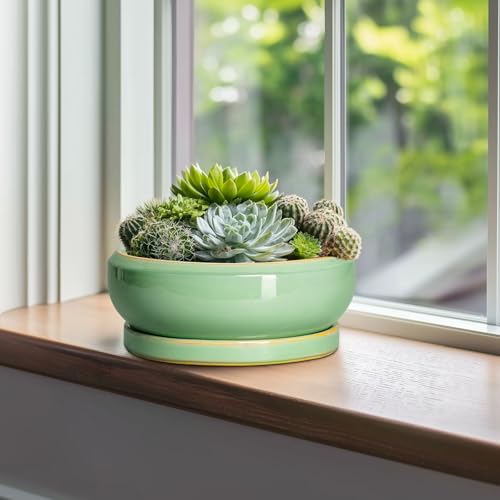 10 Inch Bonsai Tree Pots (10 Inch / Light Green)