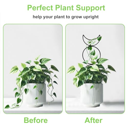 4 Packs 19 in Heighten Trellis for Climbing Plants Indoor (Black / 19 IN)