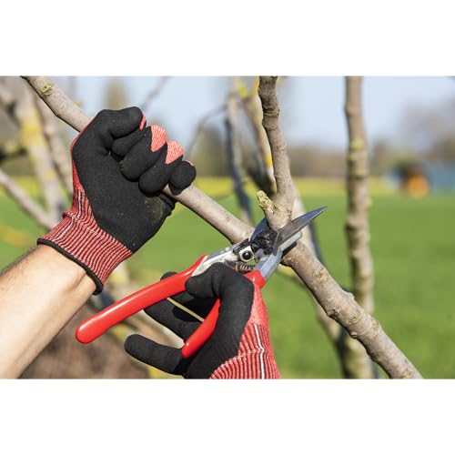 F 13 Pruning Shears
