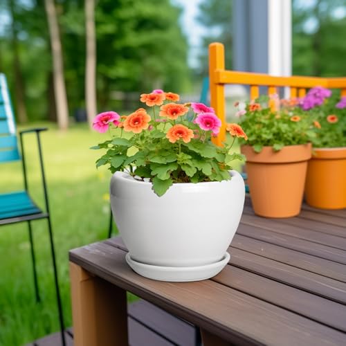 Ceramic Pot for Plants (6 Inch / Glossy White)