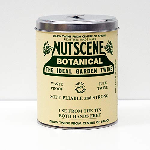 NUTSCENE Iconic Tin (Botanical (Dark Teal))