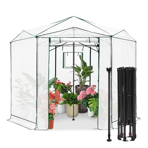 8.5x8.5 Easy Setup Pop Up Greenhouse (Clear/White / 8.5x8.5)