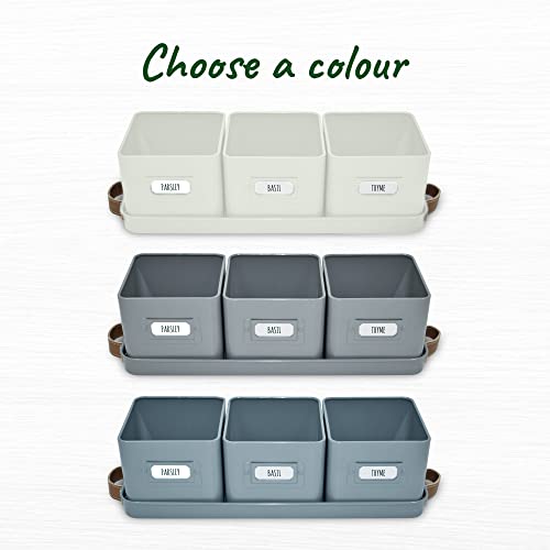 Herb Planter Indoor (3 Count)