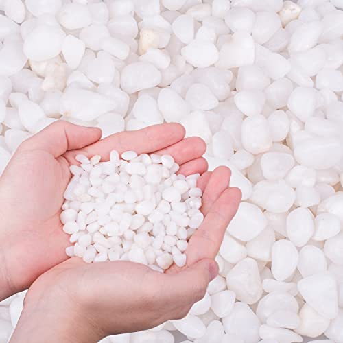 6.0 LB White Polished Pebbles 3
