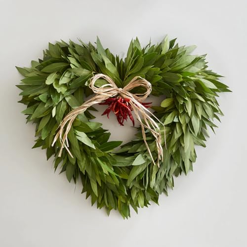 Daisy Ship Bay Laurel Culinary Herb (1 × 4-in cup / bayleaf-standard)