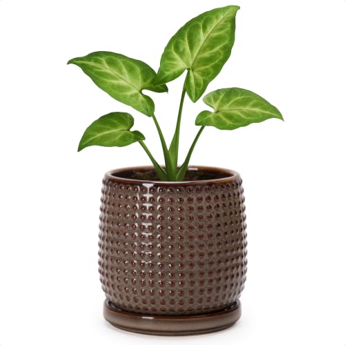 Beaded Ceramic Pot with Saucer (4.3 Inch / Stone Taupe)