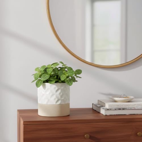 Self Watering Ceramic Plant Pot (Matte White & Brown Star / 4.5" Self Watering)