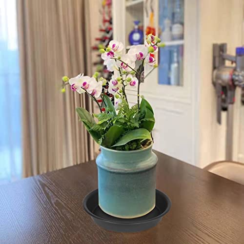 2 Pack of 8 inch Plant Saucer Clear (8" (2 pack) / Black)