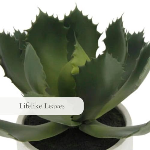 Round Faux Succulent Arrangement (10" Round Set-of-2)