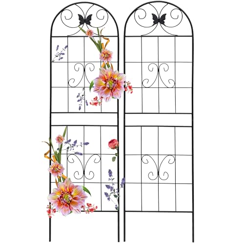 2 Pack Garden Trellises with Black Metal Coating