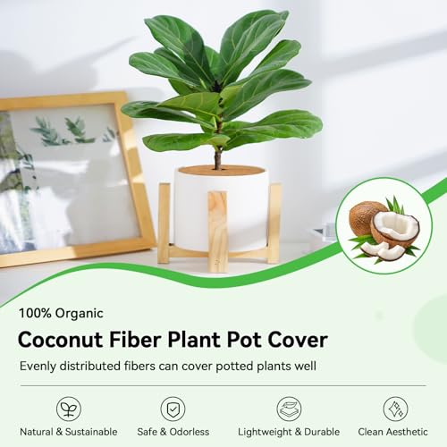 6 Inch Coconut Fiber Tree Ring Mulch Mat (10 Count)
