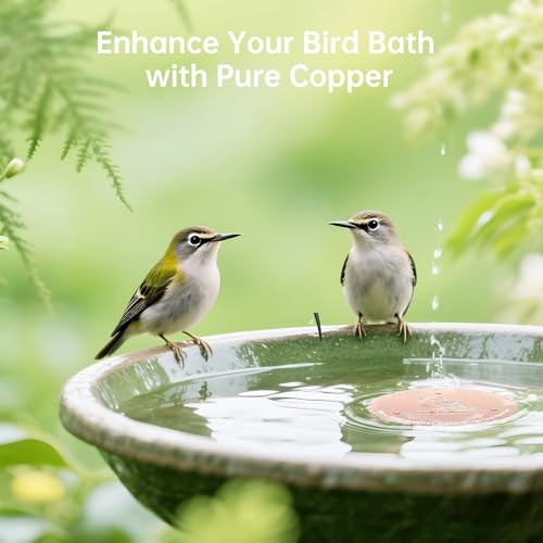 2 Pack Bird Bath Purification Disk (2 Count)