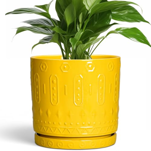 8 Inch Plant Pot (8 Inch / Yellow)