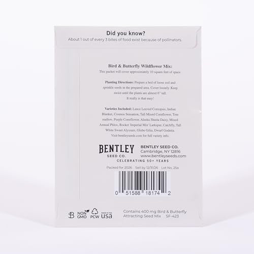 Holiday Joy Wildflower Seeds Seed Packets (Joy)