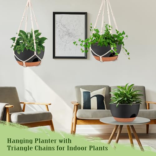 12 Inch Hanging Basket Planter with Chain & Rope for Indoor Outdoor Plants (2 Type Plant Hangers Black / 12 Inch)