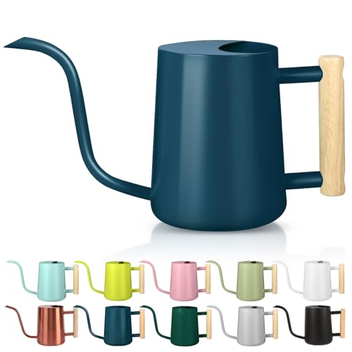 Watering Can Indoor Plants (Dark Blue)