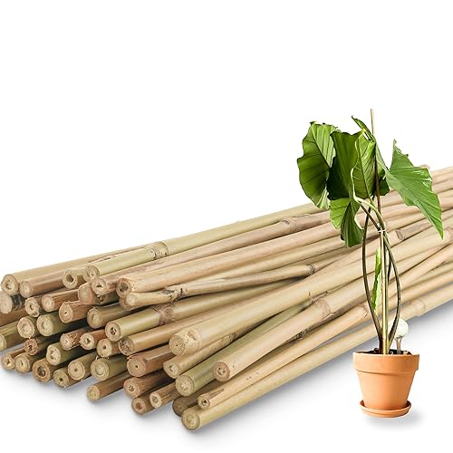 50Pcs 3ft Bamboo Plant Stakes for Indoor Outdoor Plants (50 Count)