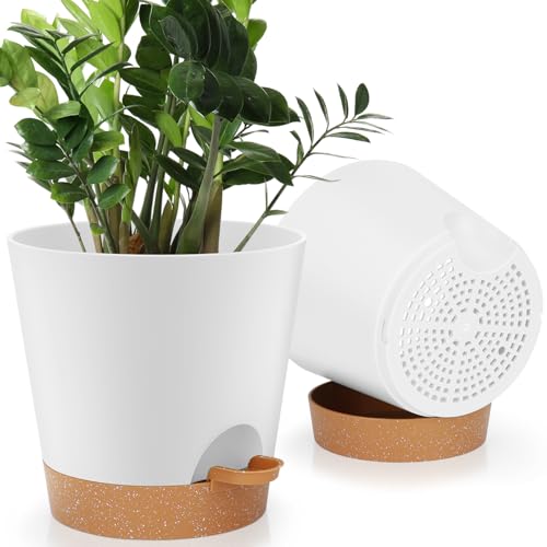 8 Inch Plant Pots (2 Count)